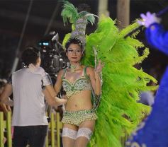 Foto de la galería: “Imperial” se impuso como ganadora de los carnavales misioneros