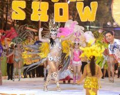 Foto de la galería: “Imperial” se impuso como ganadora de los carnavales misioneros