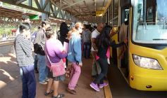 Foto de la galería: Cada vez más gente se suma a las bondades que ofrece el SUBE misionero