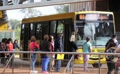 Foto de la galería: Cada vez más gente se suma a las bondades que ofrece el SUBE misionero