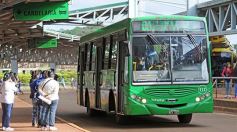 Foto de la galería: Cada vez más gente se suma a las bondades que ofrece el SUBE misionero