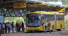Foto de la galería: Cada vez más gente se suma a las bondades que ofrece el SUBE misionero
