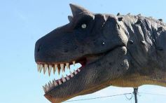 Foto de la galería: Tecnópolis Federal en Misiones ya es una realidad