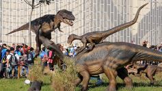 Sixto Fotografías. Sociedad. Centro de Convenciones - Tecnópolis Federal en Misiones ya es una realidad