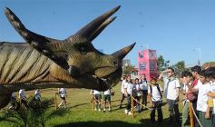 Foto de la galería: Tecnópolis Federal en Misiones ya es una realidad