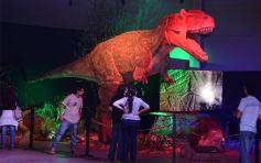 Foto de la galería: Lo que dejó Tecnópolis Federal: postales para el recuerdo