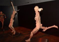 Foto de la galería: Lo que dejó Tecnópolis Federal: postales para el recuerdo