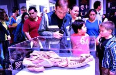 Foto de la galería: Lo que dejó Tecnópolis Federal: postales para el recuerdo