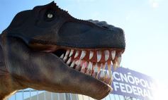 Foto de la galería: Lo que dejó Tecnópolis Federal: postales para el recuerdo