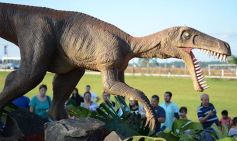 Foto de la galería: Lo que dejó Tecnópolis Federal: postales para el recuerdo