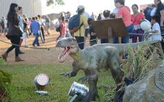 Foto de la galería: Lo que dejó Tecnópolis Federal: postales para el recuerdo