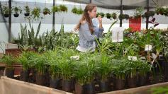 Foto de la galería: Misiones transferirá biotecnología vegetal a Córdoba