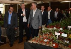Foto de la galería: Misiones transferirá biotecnología vegetal a Córdoba