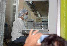 Foto de la galería: Misiones transferirá biotecnología vegetal a Córdoba