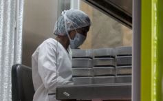 Foto de la galería: Misiones transferirá biotecnología vegetal a Córdoba