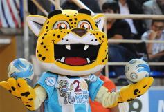 Foto de la galería: Posadas vibró con el superclásico sudamericano de Futsal