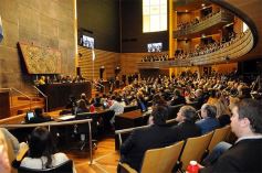 Foto de la galería: Apertura de sesiones en la Cámara: Primera parte