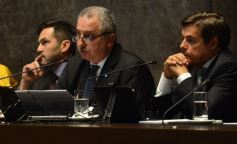 Foto de la galería: Apertura de sesiones en la Cámara: Primera parte