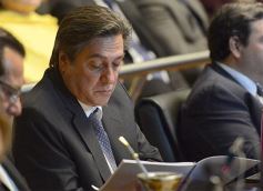 Foto de la galería: Apertura de sesiones en la Cámara: Primera parte