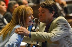 Foto de la galería: Apertura de sesiones en la Cámara: Primera parte