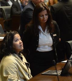 Foto de la galería: Apertura de sesiones en la Cámara: Primera parte