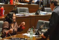 Foto de la galería: Primera sesión del año en la Legislatura