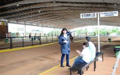 Foto de la galería: Suma líneas la estación de transferencia