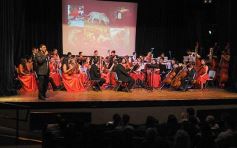 Foto de la galería: Los Grillitos y la previa del Iguazú en Concierto en el Montoya