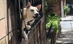 Foto de la galería: Posadas y su gente, dedicado a nuestros amigos