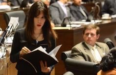 Foto de la galería: Postales de la sesión de Cámara del 18 de mayo