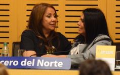 Foto de la galería: Crucero y su experiencia inédita: mujeres choferes de micros de larga distancia