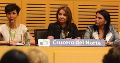 Foto de la galería: Crucero y su experiencia inédita: mujeres choferes de micros de larga distancia
