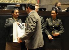 Foto de la galería: Legislatura: crearon un instituto para capacitar e investigar sobre la madera y el mueble