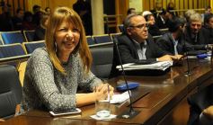 Foto de la galería: Legislatura: crearon un instituto para capacitar e investigar sobre la madera y el mueble