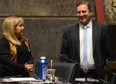 Foto de la galería: Legislatura: crearon un instituto para capacitar e investigar sobre la madera y el mueble