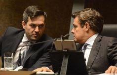 Foto de la galería: Legislatura: crearon un instituto para capacitar e investigar sobre la madera y el mueble