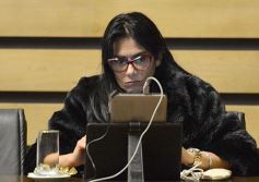 Foto de la galería: Legislatura: crearon un instituto para capacitar e investigar sobre la madera y el mueble