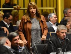 Foto de la galería: Legislatura: crearon un instituto para capacitar e investigar sobre la madera y el mueble