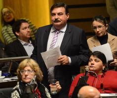 Foto de la galería: Legislatura: crearon un instituto para capacitar e investigar sobre la madera y el mueble