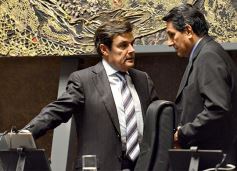 Foto de la galería: Legislatura: crearon un instituto para capacitar e investigar sobre la madera y el mueble