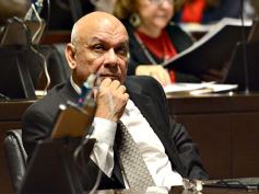 Foto de la galería: Legislatura: crearon un instituto para capacitar e investigar sobre la madera y el mueble