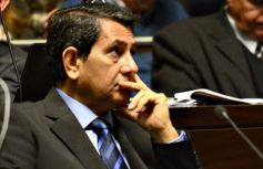 Foto de la galería: Legislatura: crearon un instituto para capacitar e investigar sobre la madera y el mueble