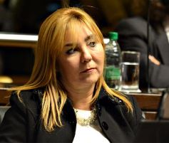 Foto de la galería: Legislatura: crearon un instituto para capacitar e investigar sobre la madera y el mueble