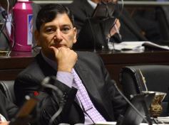 Foto de la galería: Legislatura: crearon un instituto para capacitar e investigar sobre la madera y el mueble