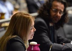 Foto de la galería: Legislatura: crearon un instituto para capacitar e investigar sobre la madera y el mueble