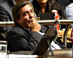 Foto de la galería: Legislatura: crearon un instituto para capacitar e investigar sobre la madera y el mueble