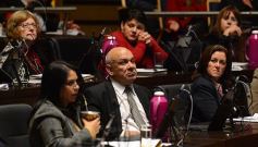 Foto de la galería: Legislatura: crearon un instituto para capacitar e investigar sobre la madera y el mueble