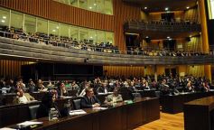 Foto de la galería: Legislatura: crearon un instituto para capacitar e investigar sobre la madera y el mueble