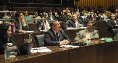 Foto de la galería: Legislatura: crearon un instituto para capacitar e investigar sobre la madera y el mueble