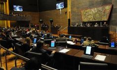 Foto de la galería: Legislatura: crearon un instituto para capacitar e investigar sobre la madera y el mueble